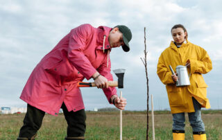 From-Sapling-to-Shade-Tree-A-Lifetime-of-Care-for-Your-Green-Investment