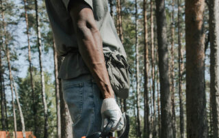 The-6-Hidden-Dangers-of-DIY-Tree-Care-Why-Hiring-an-Arborist-Saves-Time-and-Money