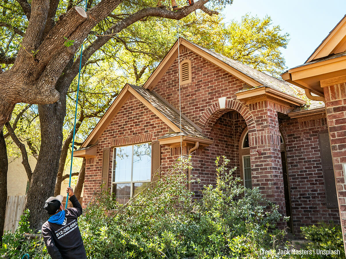 The-Deceptive-Physics-of-Falling-Limbs