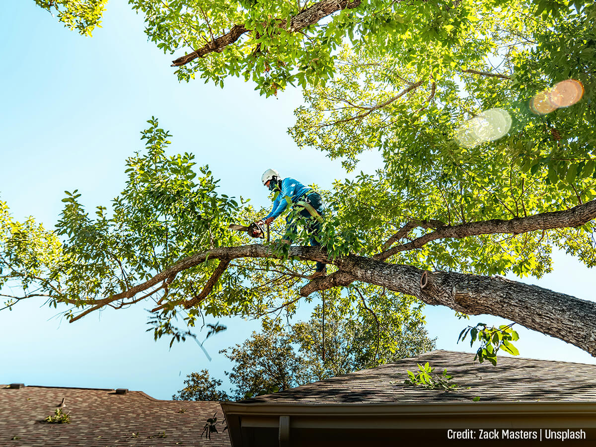 The-Peril-of-Hidden-Decay-and-Widowmakers