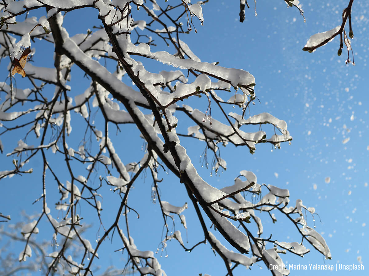 Assessing-the-Structural-Architecture