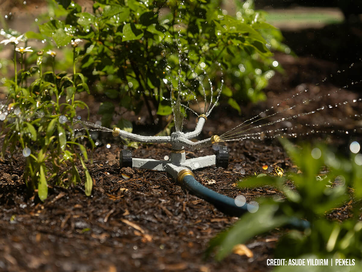 Hydration-and-Mulching