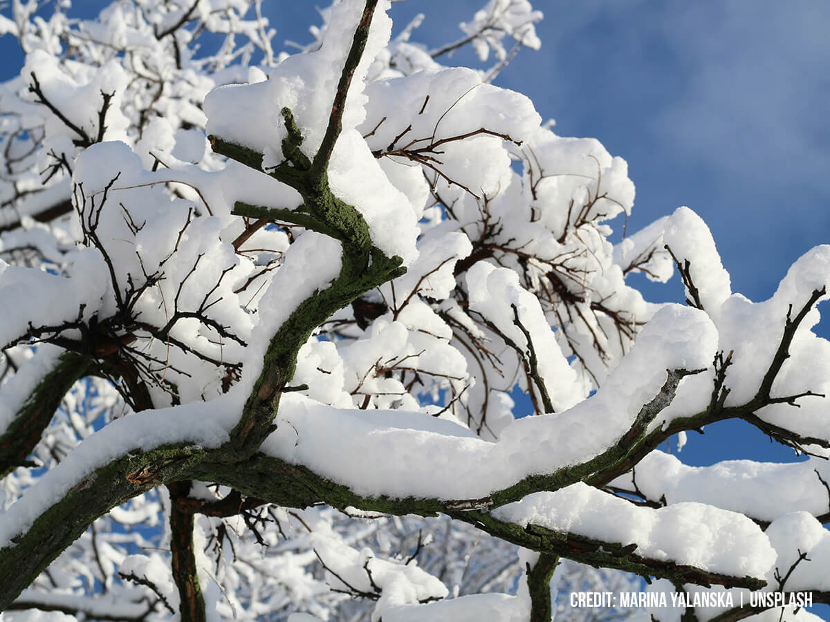 Safe-Snow-Removal-Practices