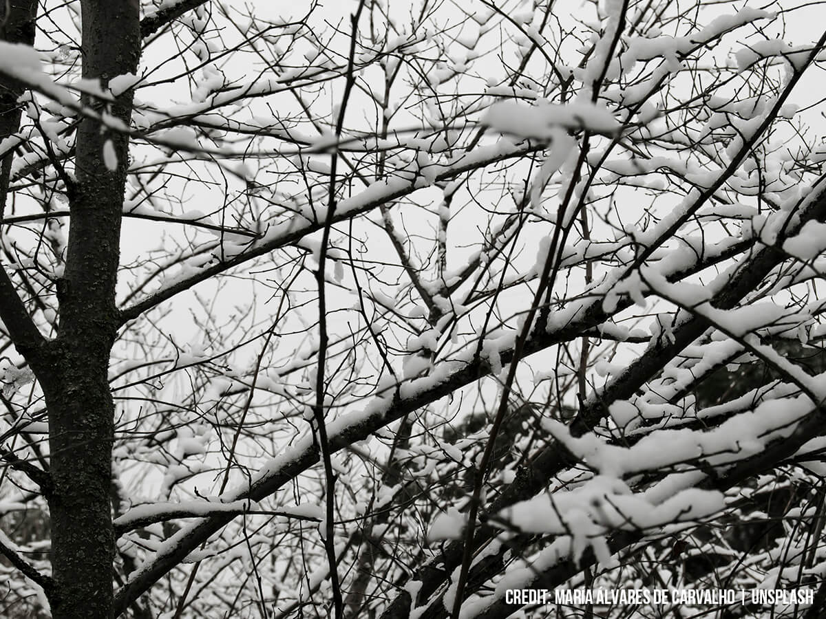 The-Physics-of-Ice-and-Snow-Loading