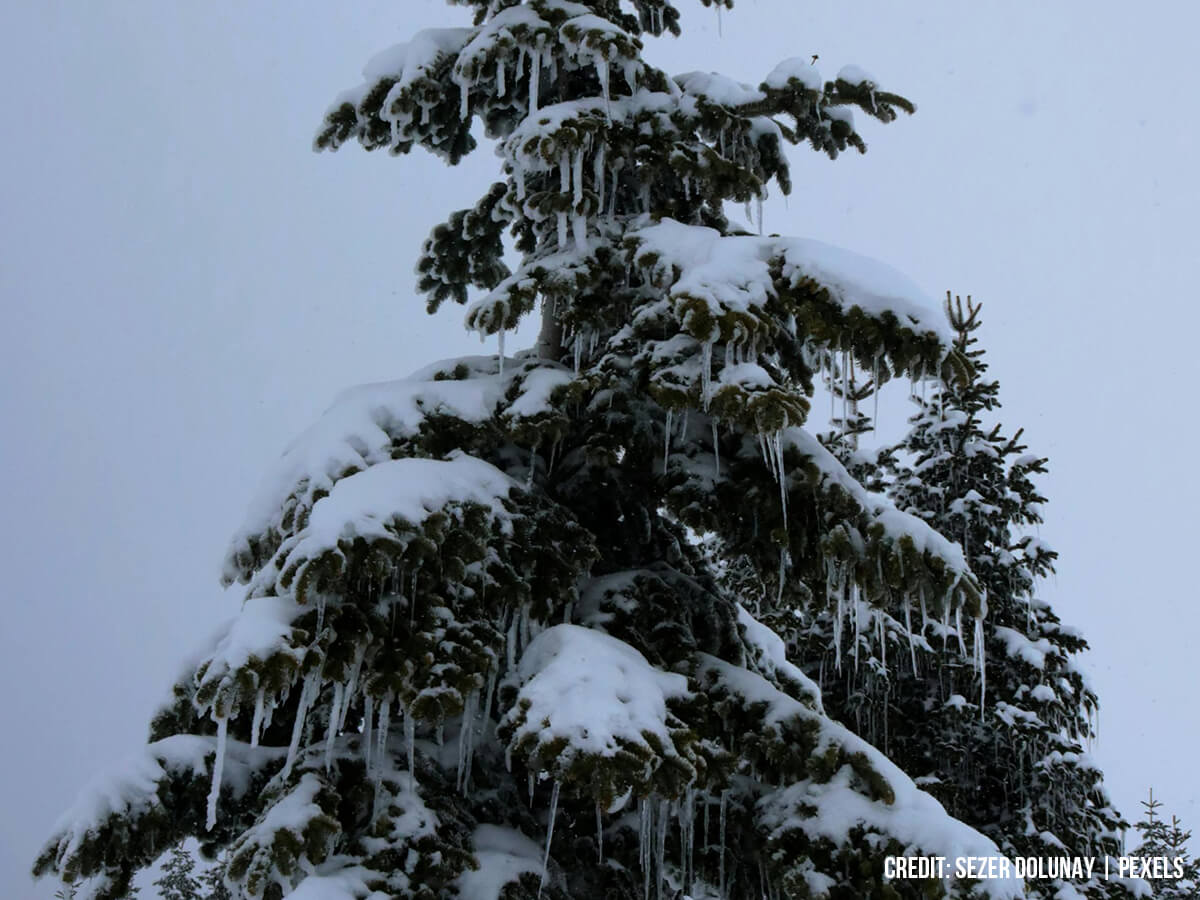 Diagnosing-the-Severity