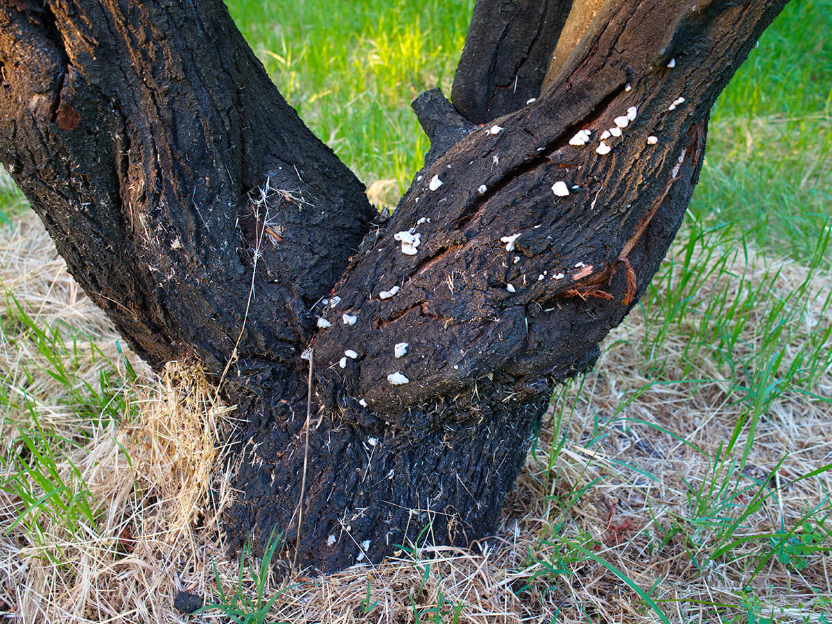 How-Does-the-Initial-Assessment-and-Quote-Process-Work