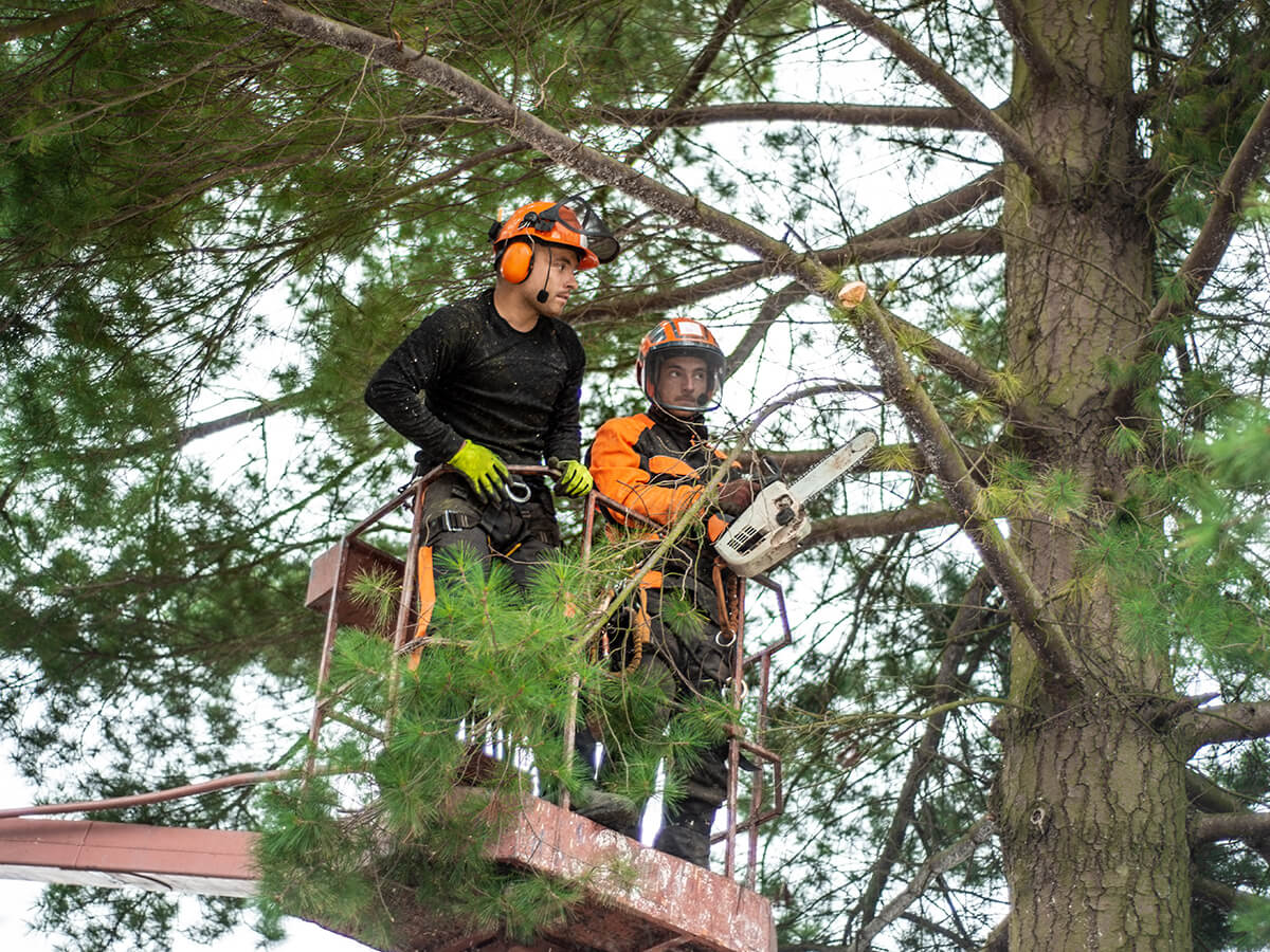 Why-Is-Specific-Equipment-Essential-for-the-Task