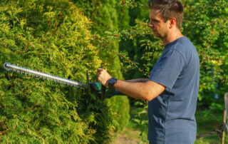 How-Professional-Hedge-Trimming-Can-Triple-Your-Property's-Privacy