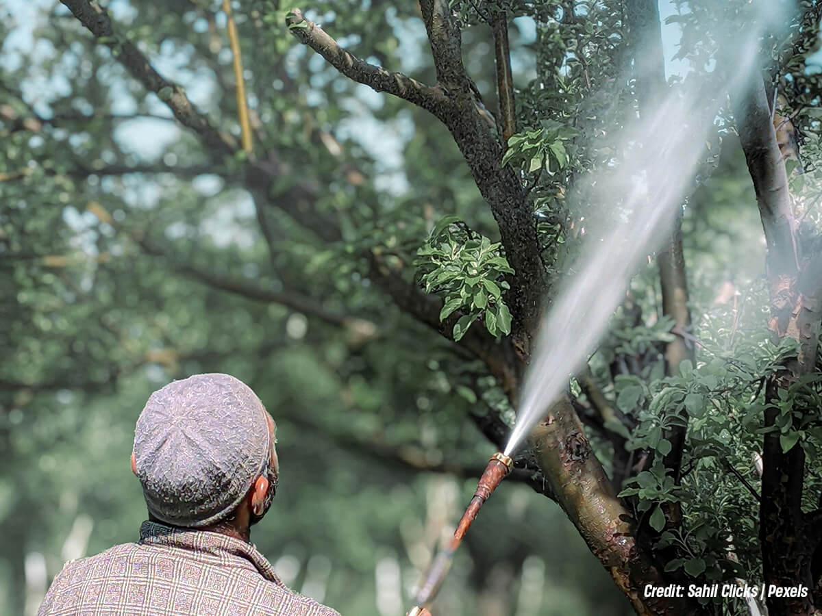 Preventing-the-Spread-of-Devastating-Fungal-and-Bacterial-Diseases