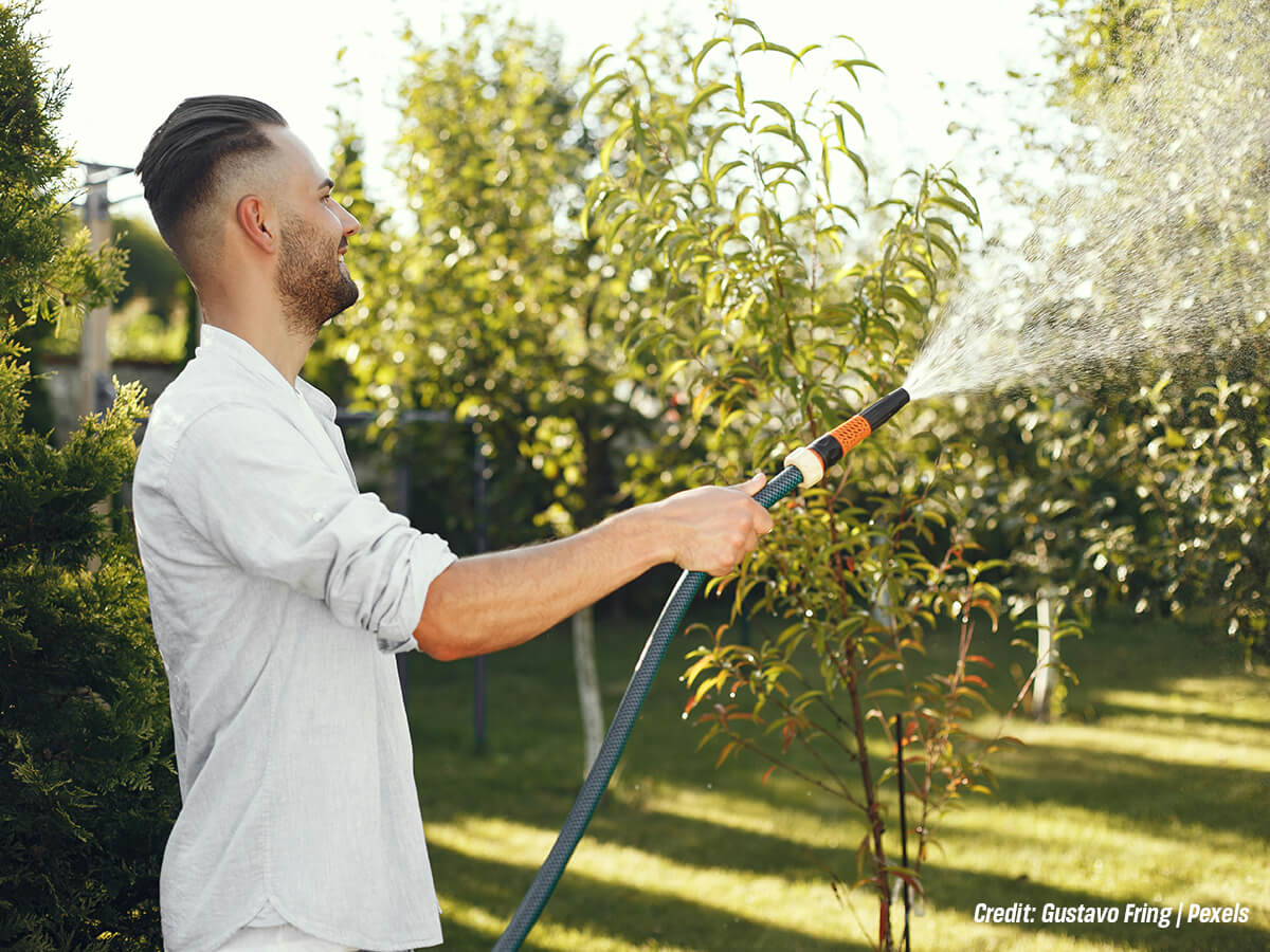 Providing-Seasonal-Defence-Mechanisms
