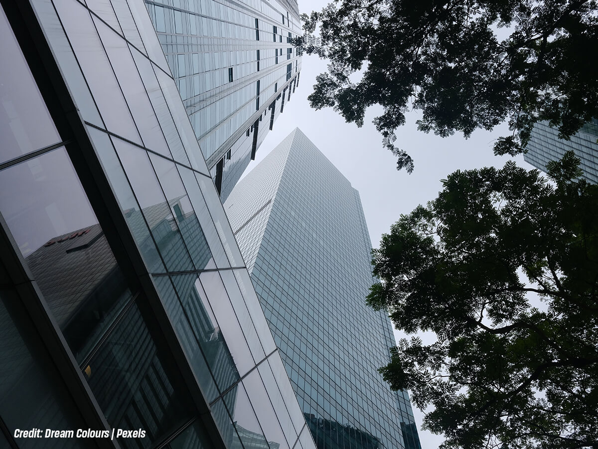 How-Do-Neglected-Trees-Threaten-Corporate-Liability