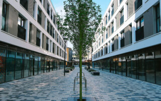 How-Tree-Care-Services-Help-Maintain-Commercial-Property-Standards